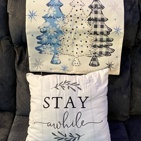 16x 16 inch pillow and seasonal pillow cover - Picture 3 of 5